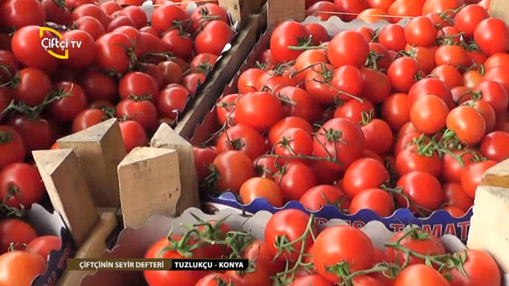 ÇİFTÇİNİN SEYİR DEFTERİ/TUZLUKÇU PAZARI YÖRESEL ÜRÜNLERİ-TUZLUKÇU/KONYA