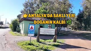 Mavikent Tabiat Parkı Gezi Rehberi Nerede, Nasıl Gidilir? (2026)