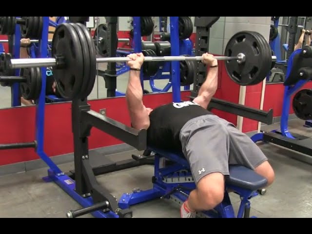 Bench Blaster Reflex  Max Your Bench Press Gains Now