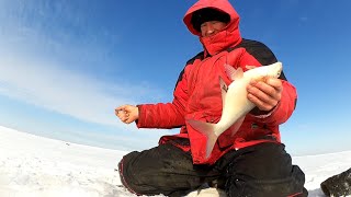 Ловля леща зимой на мормышку. Склюихинское водохранилище