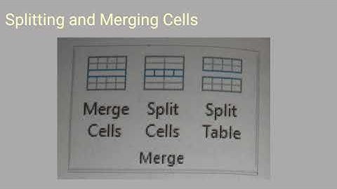 Class- 5 / Computer (Working with Tables in Word ) Explanation