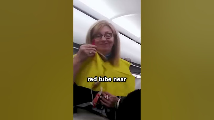 World's FUNNIEST Flight Attendant!