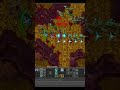 MS 830 full bless TRAVOU na lyze do tio Dogg 😂 #brunindogg #games #rubinot #memes #tibia #gameplay