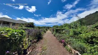 Honolulu community gardening program celebrates 50 years