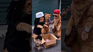 Very Funny  part 18 funny comedy shorts