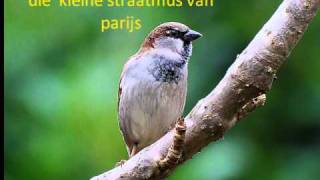 Video thumbnail of "will ferdy  de straatmus  van parijs"