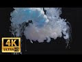Краски в воде, Слоу мо! | Видео 4К от которого невозможно оторваться! | Ink in water, Slow motion
