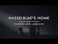 Hasselblad 500C|中判を「システム」に変えた永遠のアイコン