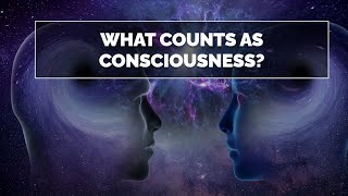 Decoding Consciousness: A Deep Dive