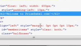 Famous firebug hack on prizerebel super HD Net Worth