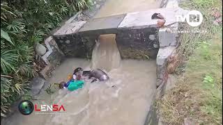 Bangkai Babi Banyak Ditemukan di Sungai kab. Parimo