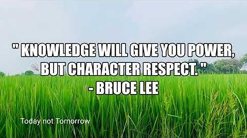 Top 5 Bruce Lee Inspirational & Motivational whatsapp status quotes in English |||Today not Tomorrow