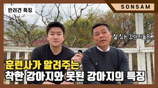 말 잘 듣는 강아지 vs 말 안 듣는 강아지의 특징은요..