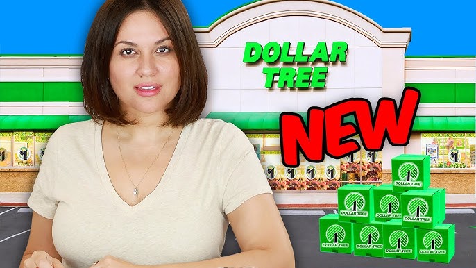 5 Dollar Tree Brand-New Items Are Worth Buying Now - CourseMentor™