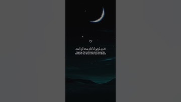 اكتب شيء تؤجر عليه 😴💚 قران كريم | ياسر الدوسري