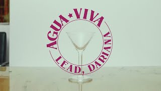 LEAD DARIANA - AGUA VIVA (Lyric Video Oficial)