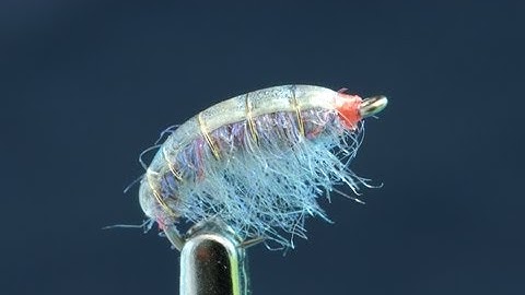 Chewy Goo Scud - Fly Tying Lesson Video Tutorial by Curtis Fry
