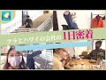 【1日密着】フラとハワイの会社の1日に密着してみた。
