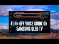 Turn Off Voice Guide on Samsung QLED TV