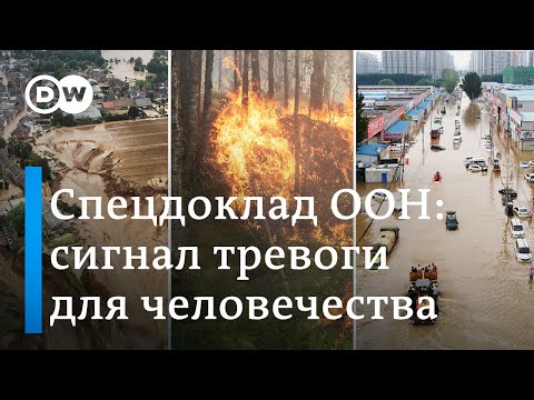 Доклад ООН про