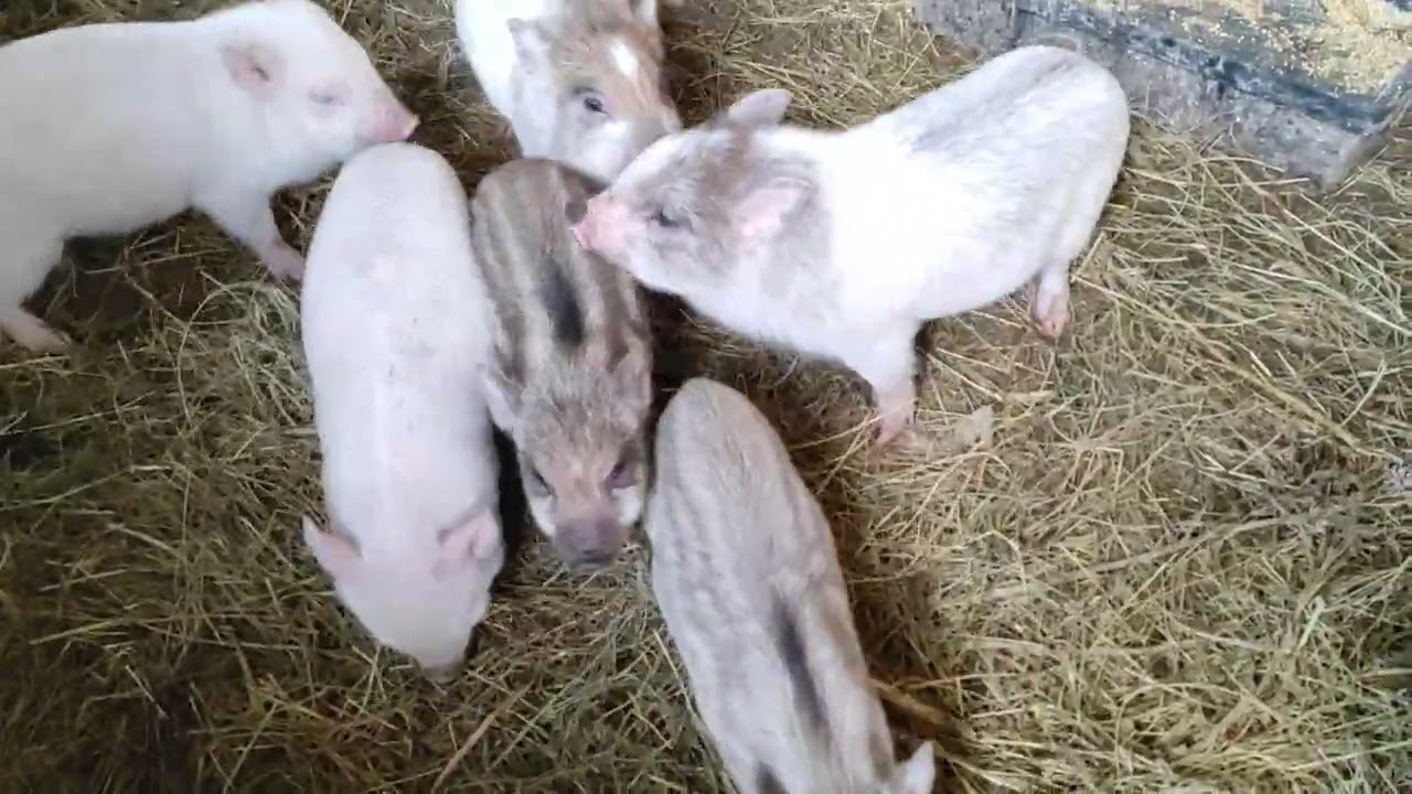 Ура! Мы дома! Нас все ждут! 