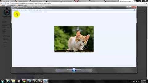 Using Google To Find Creative Commons Pics