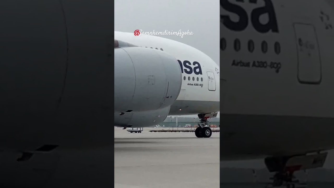 19 January vacation trips 