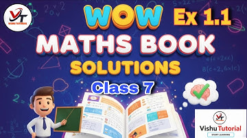 Class 7 Ex 1.1 WOW Maths Book Solutions | Full Chapter-wise Answers | vishu tutorial wow book pdf