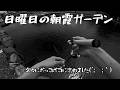 【朝霞ガーデン】6月21日釣行記録【エリアトラウト】