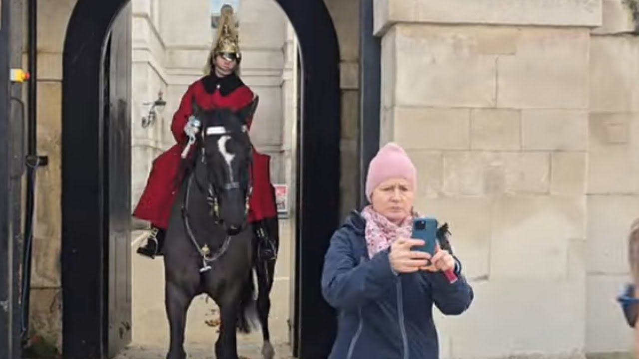 Take a photo inside the box/pose in the side box guard leans get out #kingsguard