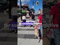 How to make your dog respond to recall
