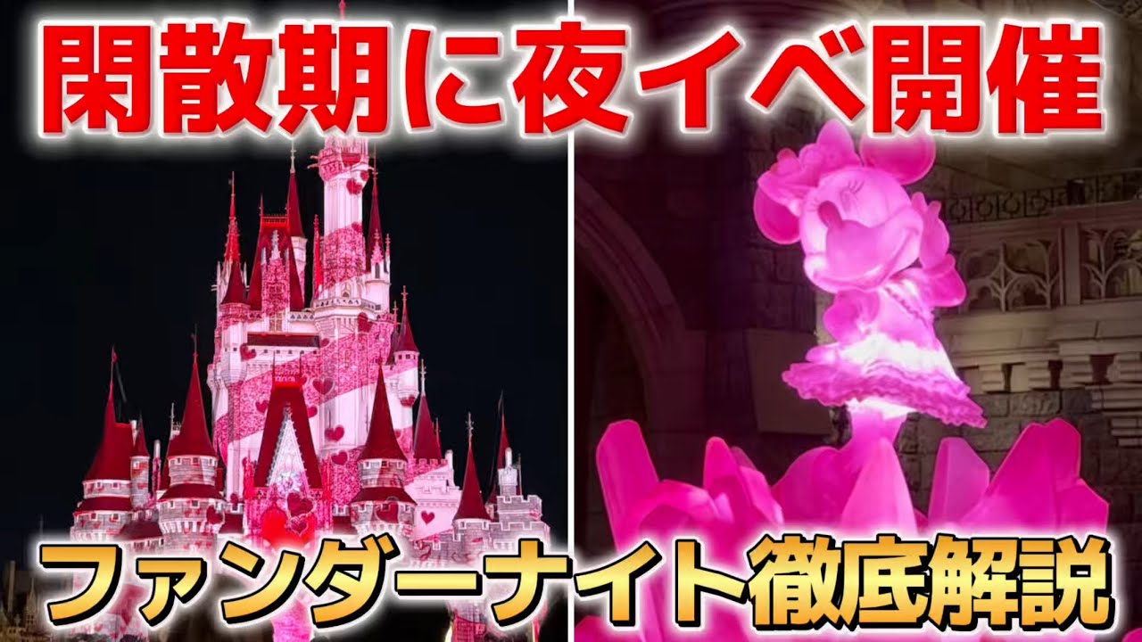 【パルパル第5弾】期待のファンダーナイトに早速行ってみた‼️【2026.1.13 ミニーのファンダーランドスニーク】