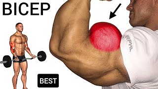Best Workouts for Bicep to Make Bigger You Can Do it At Gym screenshot 4