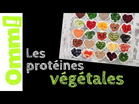 Vidéo: Confusion Entre Les Besoins En Protéines Et Les Aliments Pour Animaux De Compagnie De Haute Qualité, Selon Un Sondage PetMD