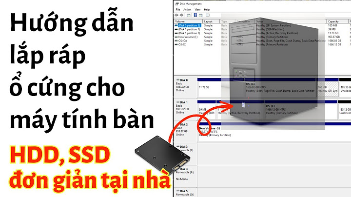 Cach lap co cung ssd vao lap top năm 2024