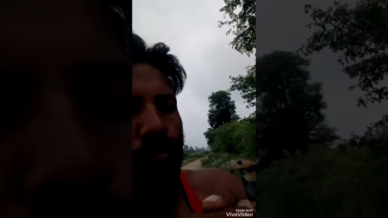 camera iphone 8 plus apk I love Snake and kiss by Snake Hunter Vicky Sher Khan