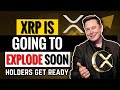 XRP Bull Run CONFIRMED! What's NEXT for Ripple Price?