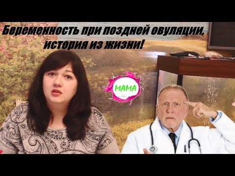 Беременность при поздней овуляции, История из жизни