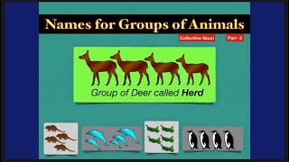 #animals Names for Groups of Animals || Collective Noun | Part -2