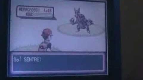 Two 1/8192 Shinies in 8 Hours! Shiny Heracross WITH SPARKLES(LG) After 8294 RE