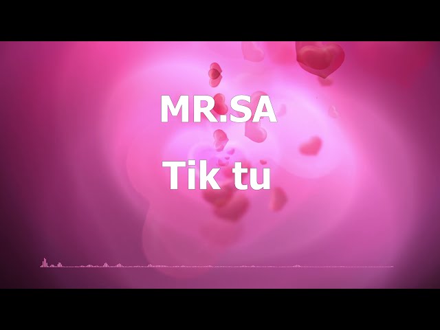 MR.SA  -  TIK TU (2021) class=