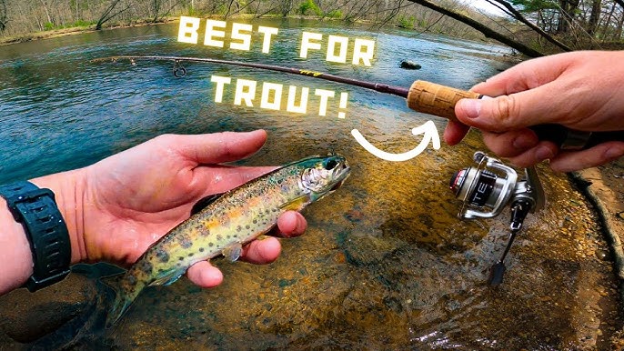 ✓Top 5: Best Ultralight Spinning Rods In 2023 🎣 [  Ultralight  Spinning Rods Reviews ] 