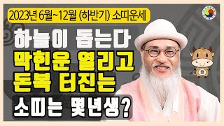 6월~12월 소띠운세/역술가도 부럽다/ 큰 돈 만지는 소띠는 몇년생? / 막힌운 개운법까지 알려주니 하반기 …