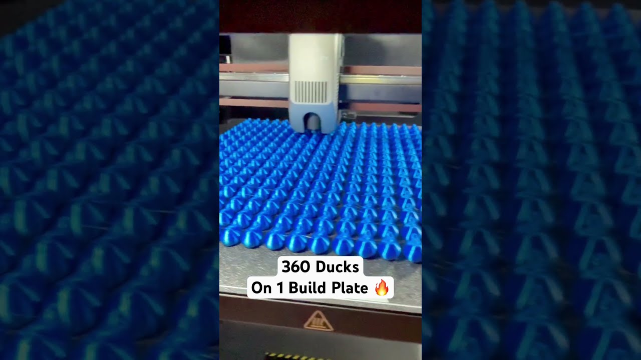 I Spent 1200 To 3D Print Ducks 