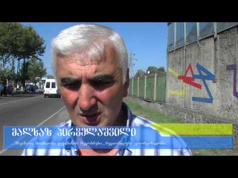 დასუფთავების საერთაშორისო კამპანიაში ზესტაფონიც ჩაერთო