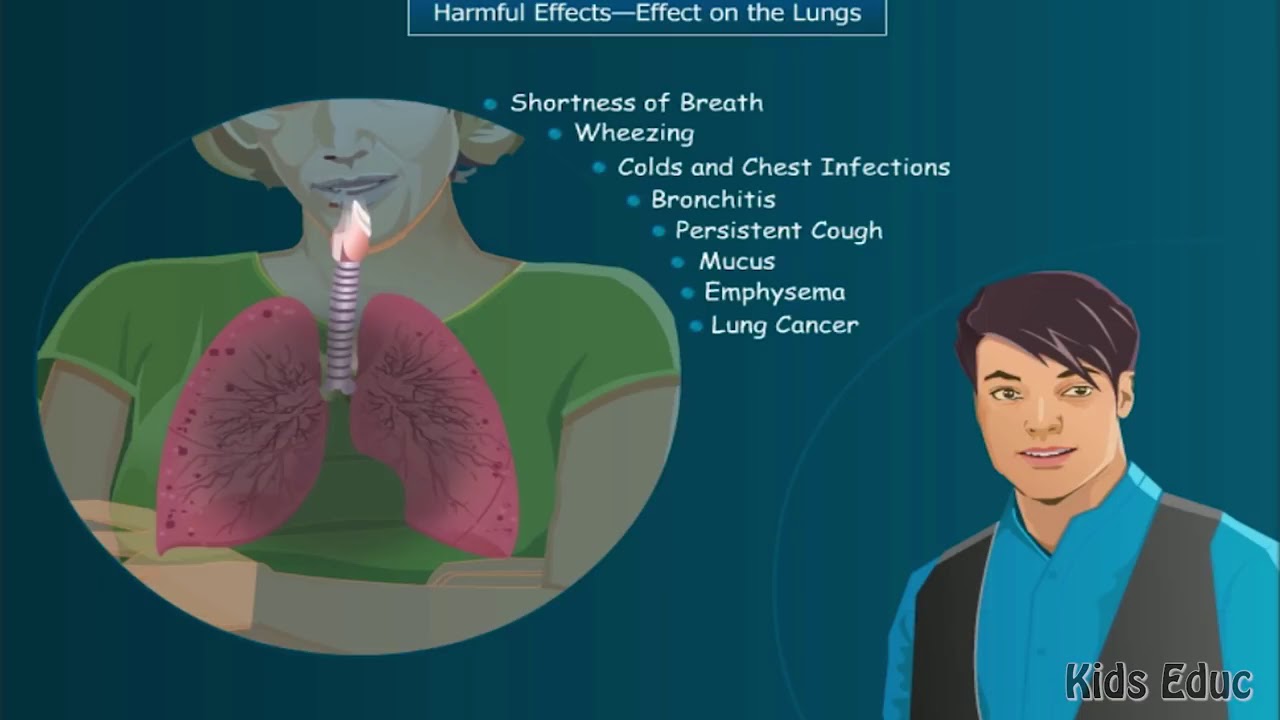 Video 2 Harmful Effects Of Tobacco On The Human Body, Educational Video ...