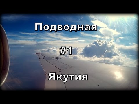 перевозка ружья для подводной охоты в самолете