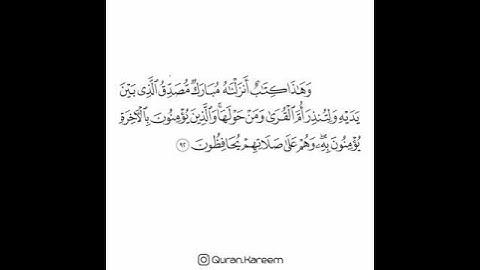 القارئ سعد الغامدي - سورة الأنعام - الآية 92