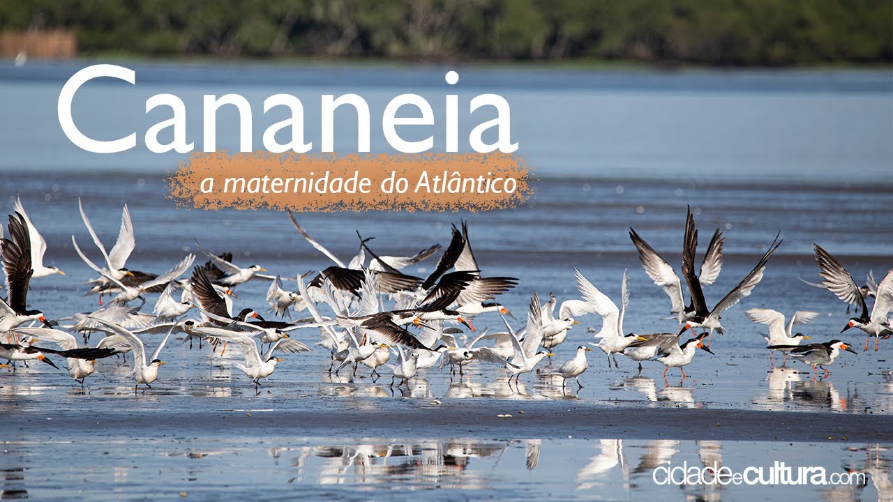 Cananeia - Vídeo Institucional