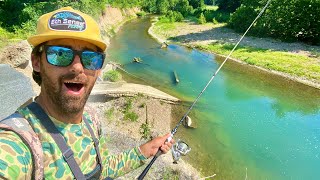 BITTEN While Fishing This URBAN MOUNTAIN Creek! This Place Is LOADED!